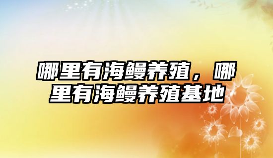 哪里有海鰻養(yǎng)殖，哪里有海鰻養(yǎng)殖基地